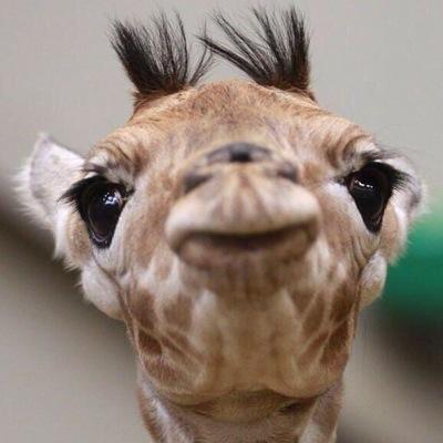 Hdsinatra's profile picture. 