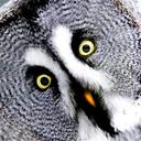 Tricia Lloyd - @trish_hhmmm - Twitter