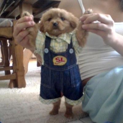 follow @zoltarzpeaks her tweets are COMEDY GOLD I promise:-)