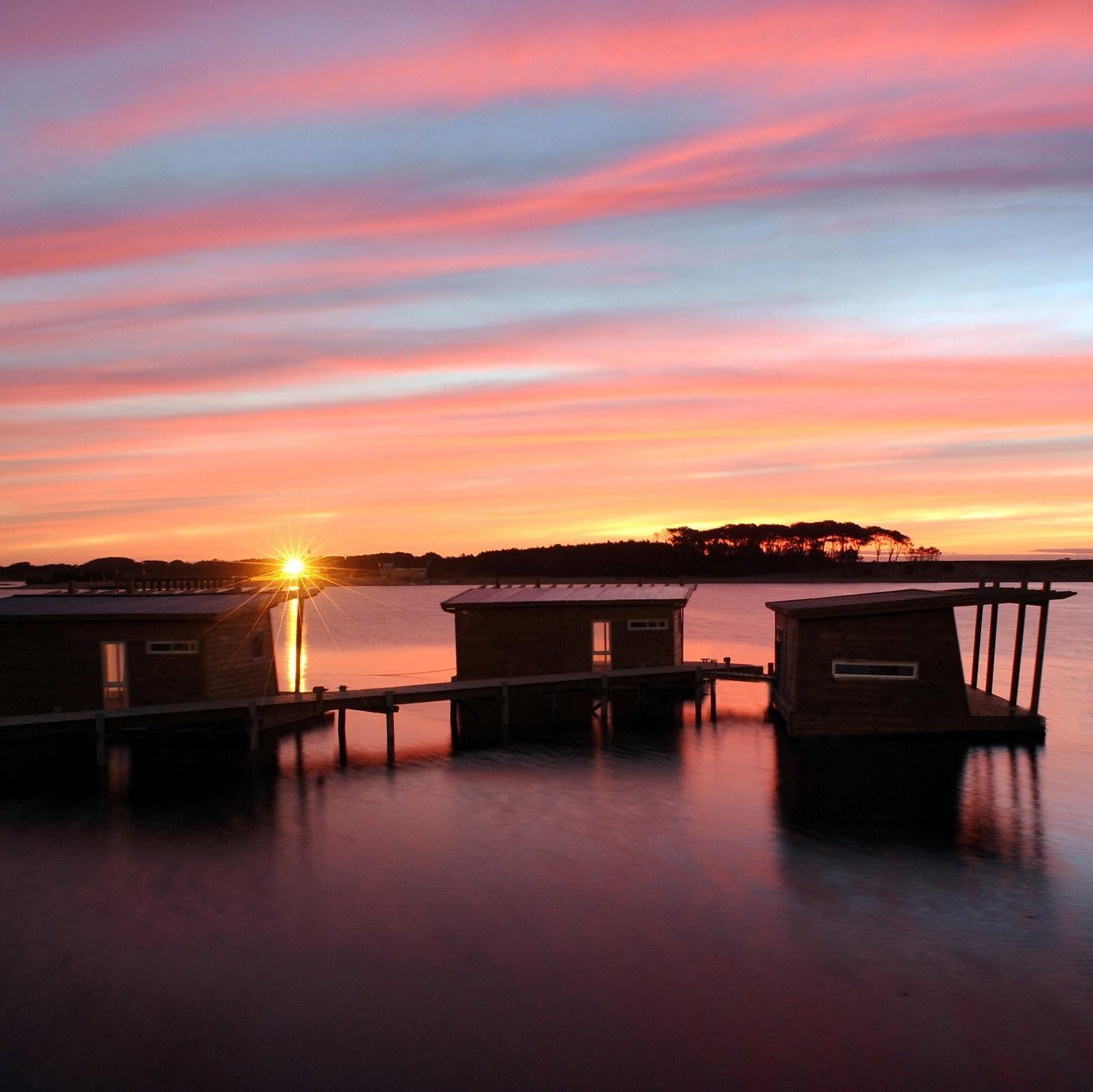 LagunaGarzon's profile picture. 