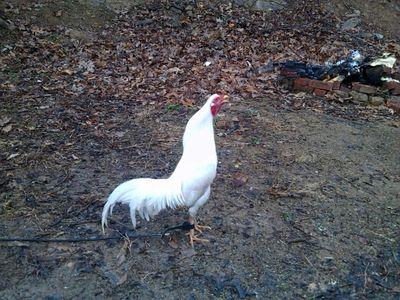 WcisloPatricia's profile picture. 