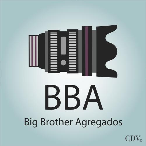 Big Brother Agregados. Além dos 15 tweets de fama. Realização: Rede CDV de Desocupação.