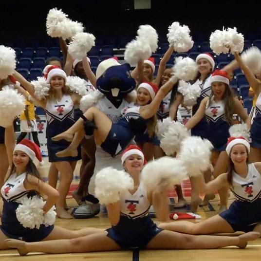 This is the official twitter page of the UofT Pom Team.