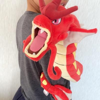 マヒロ ポケモンgo ロッテ 虎 Lucario0407 Twitter