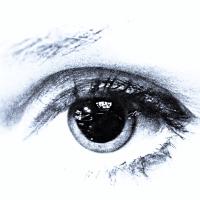Nilay Kimelman (@sigillumnk) 's Twitter Profile
