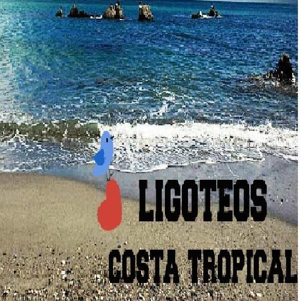 Se creo el 11/1/2015 Hijo de @ligoteoUGR❤,pero en este caso ligoteo solamente por la costa.Para declaración amorosa.Manda privado y lo publicamos ANÓNIMAMENTE.