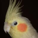 Jules Miller - @JulesMMiller - Twitter