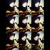 Dhiya UlhaqR (@dhiyya_ulhaqq) Twitter profile photo