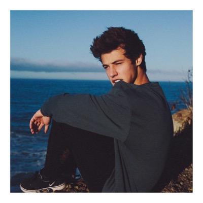 ✿ please go follow @cameronsrebel because she just gave you this free follow ✿ have a great day/night!