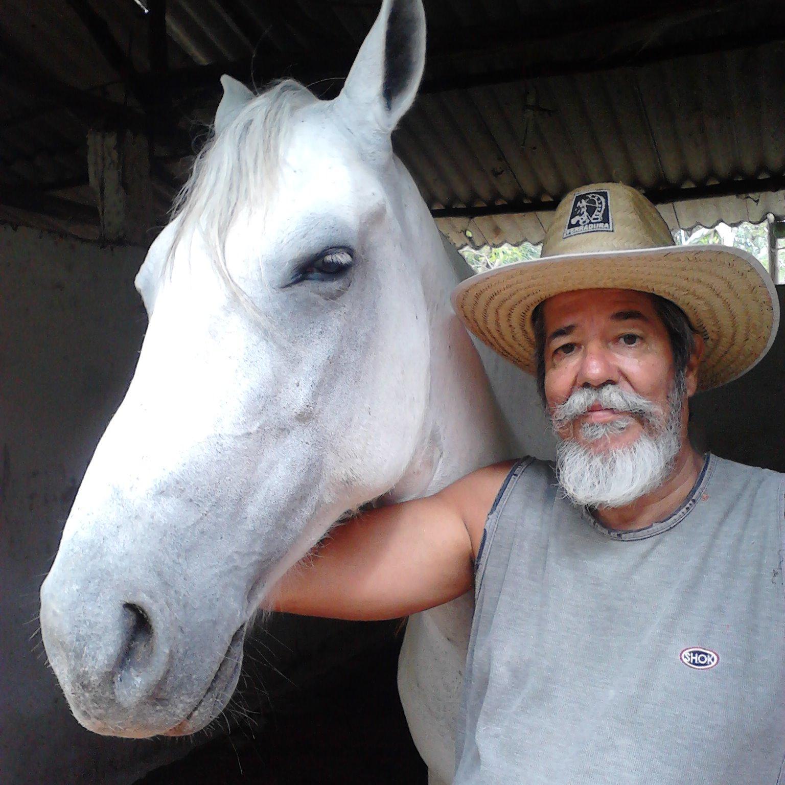 Aficcionado por cavalos
Notícias do Agronegócio