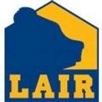 Lair of the Bear (@lairofthebear) 's Twitter Profile