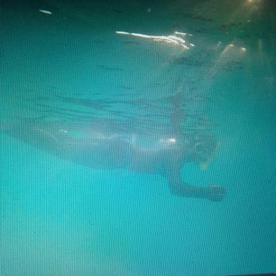 JeRamona's profile picture. Fighting is winning....not quitting!