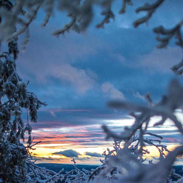 fullvolumephoto's profile picture. Amplified Imagery