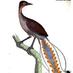 Marilyn Chalkley (@lyrebird1) Twitter profile photo Marilyn Chalkley (@lyrebird1) Twitter profile photo