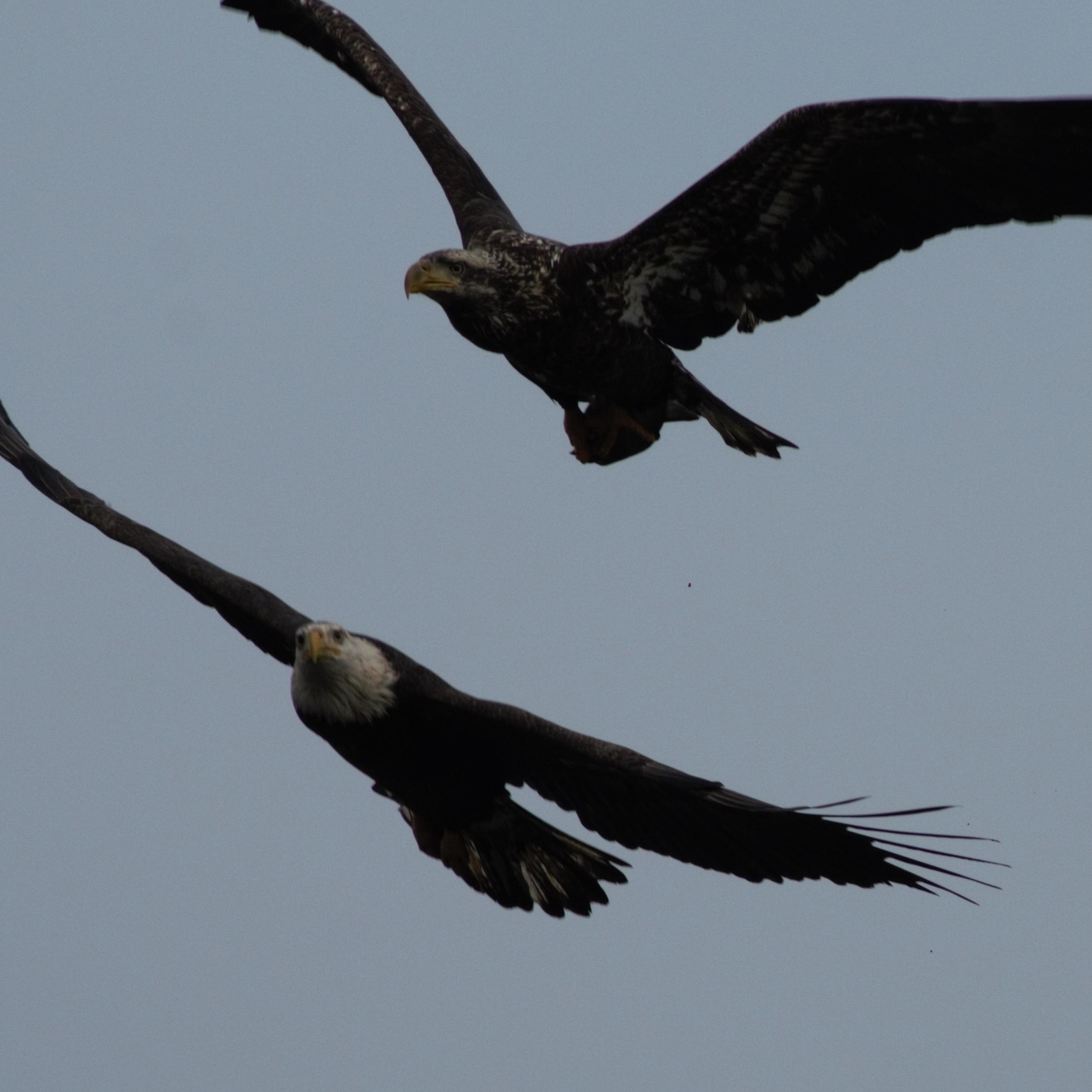 Jim9BB's profile picture. 