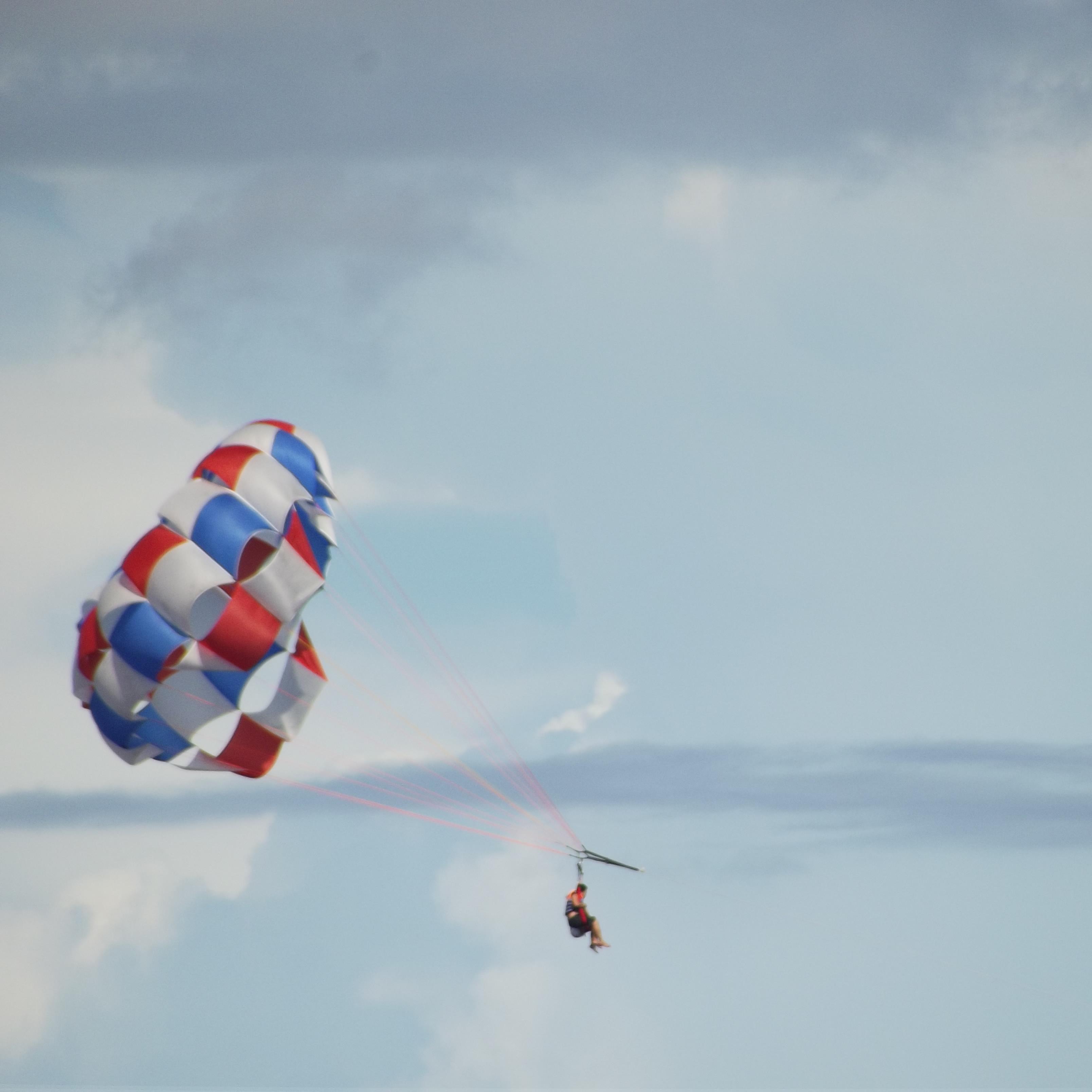 austra_nix's profile picture. 