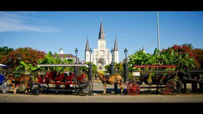 Colorado native relocated to Louisiana!! my heart is in nola!! If you have any pictures I can share email them to dailynolapics@Gmail.com.