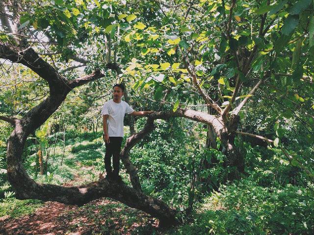 adrian_maul's profile picture. Man in a Colours // Musician // Six string addict