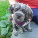 Gary Hetrick - @CFrustration - Twitter