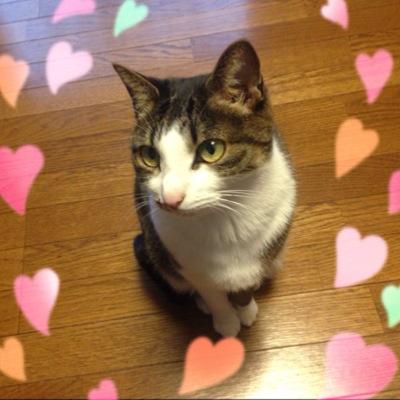 ayano98's profile picture. 