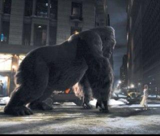 obsion's profile picture. 인생엔 모든 일이 등장한다.내가 간절히 원하는 그것도!