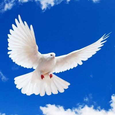 jnaresh1985's profile picture. I am Spiritual,
Love Programming & Technology
@PawanKalyan fan.
I never use abusive language on SM, Expect the same from you!