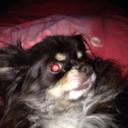 Mark Wimberly - @markwimberly555 - Twitter