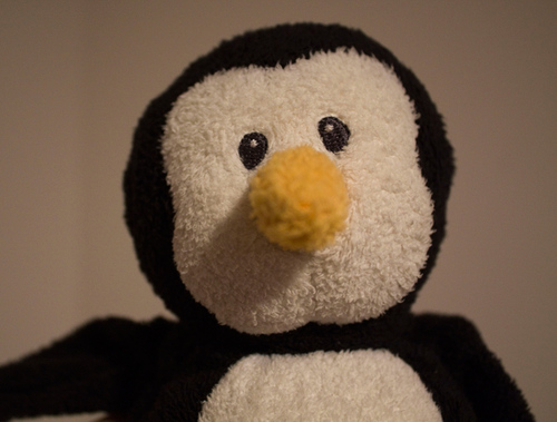 penguinoh's profile picture. The best stuffed penguin you'll ever meet. Not-so-flightless bird jetsetter at https://t.co/qGydAfV9M8.