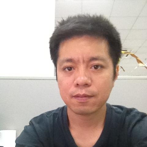 software developer