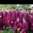 dbrennan3281's profile image