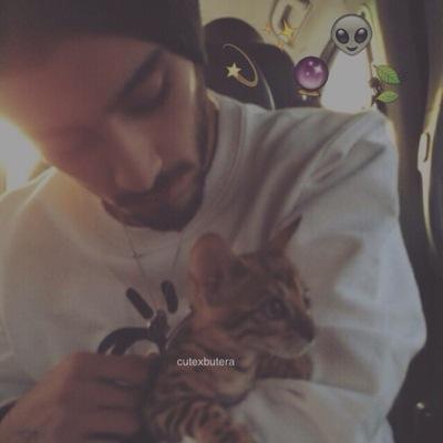 The love of my life, my Angel, my happiness, my smile, my laugh, the reason I live @becniefake I love you Liam You're perfect baby ❥ #Ziam 021414 042614