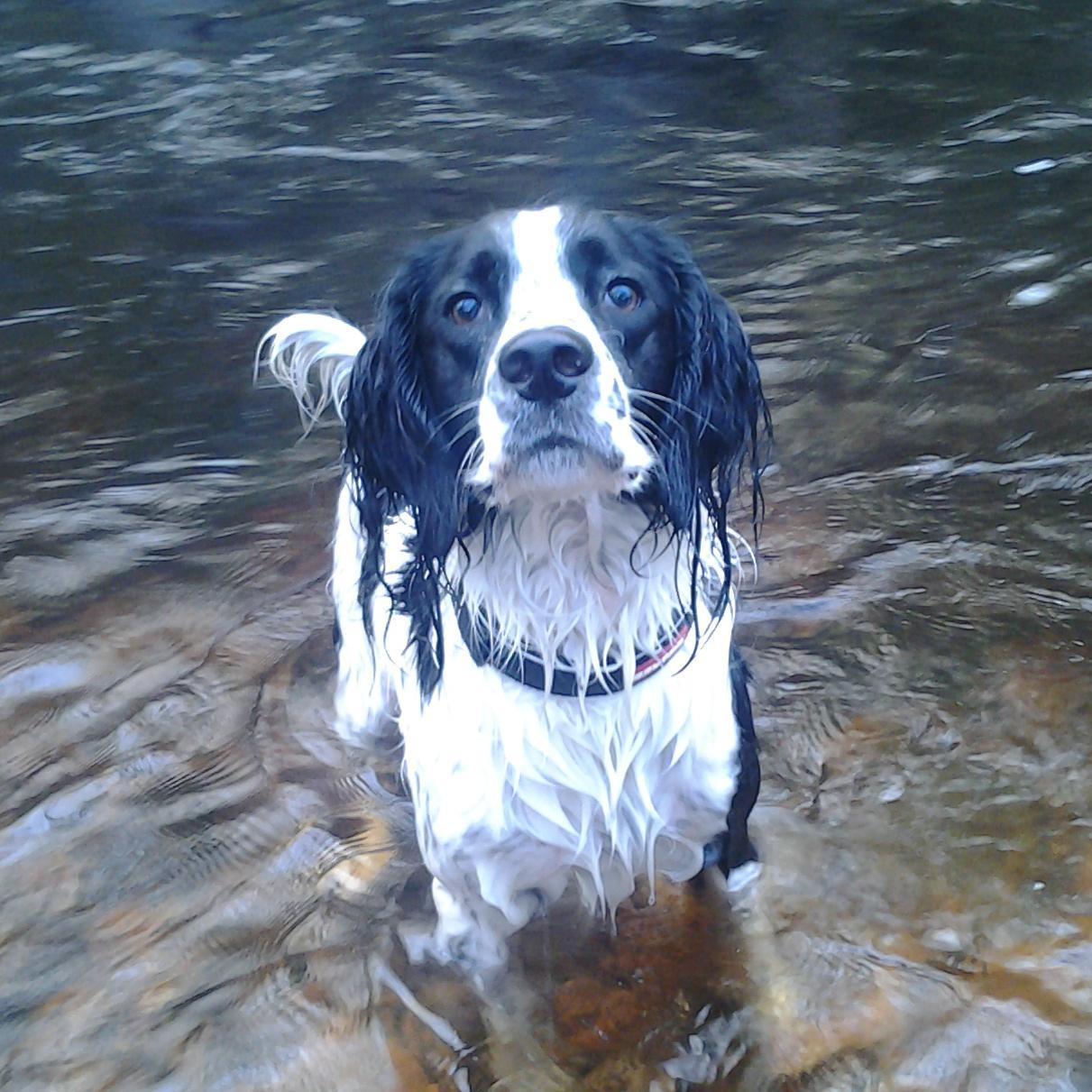 _AnnieLaura's profile picture. ~OneLove