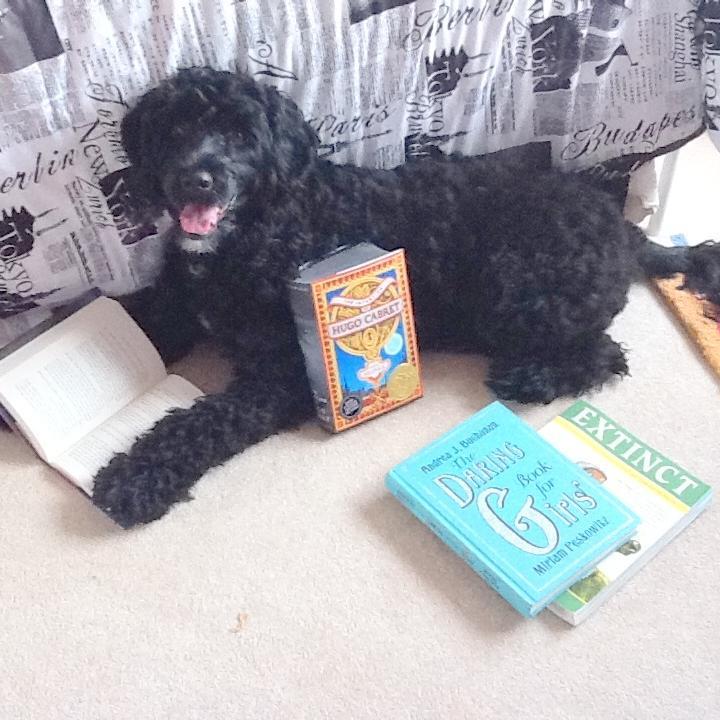 Lunapetunia2011's profile picture. 