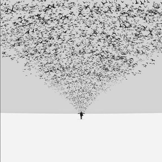 MashaWesCoyl's profile picture. для любителей современного минимализма