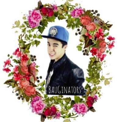 bauginators's profile image