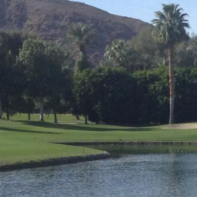 TheAJLee_'s profile picture. 