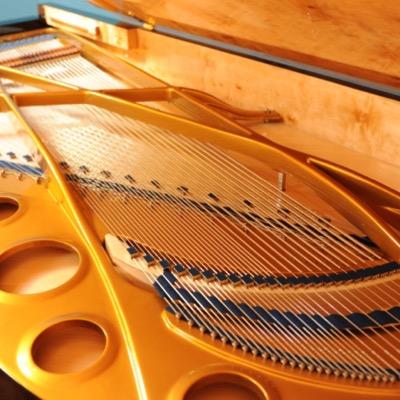Berliozpianos's profile picture. 