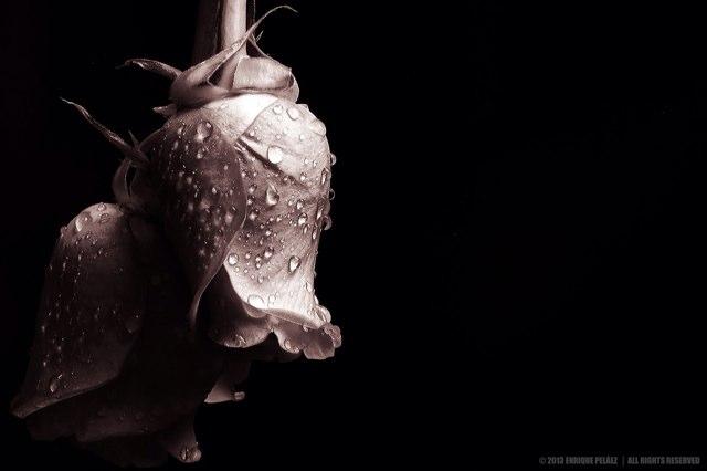 AzOo7aaa's profile picture. 