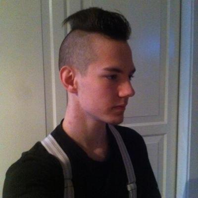 I are interested in girls , love to sing, play Nhl , watching hockey and listening to reggae and hard rock