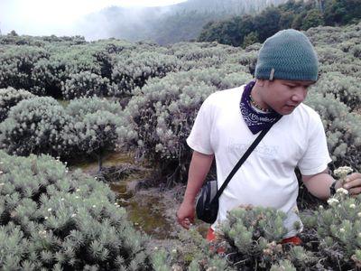 Segalanya berawal dari dan kembali ke tanah dan air