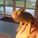 beau arnold - @mysteriousblue2 - Twitter