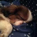 Ben Hackney - @hackney_ian - Twitter