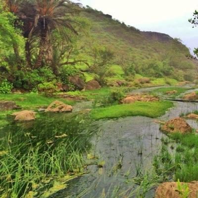 hmha9999's profile picture. 