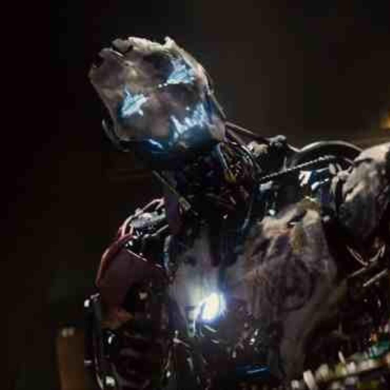 miralrio17's profile picture. 