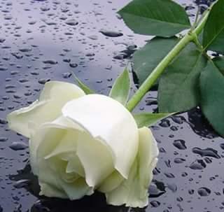 just a loverable moment for all