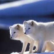 Poka & Lil BoBo!!