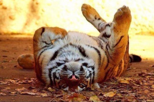 skyboy501's profile picture. 