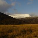 alan mathieson - @squashcourt1956 - Twitter