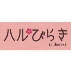 2015年3月28日、29日
茨木にて、クラフトマーケット初開催