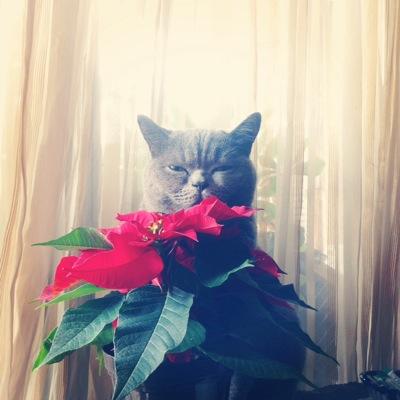 Imanou19050907m's profile picture. 89年生 雑食